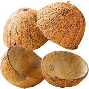 Coconut Shell