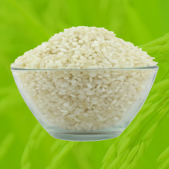 Idly Rice