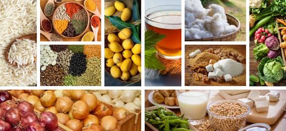 Food Products and Agro Products