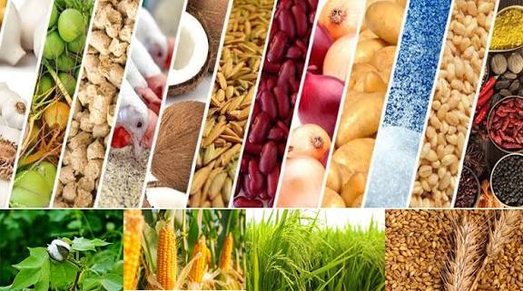 Food Products and Agro Products